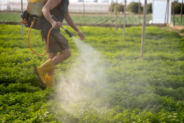 Best Pest Removal Services  in Preston, MN