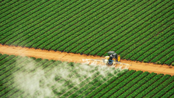 Best Mosquito Control Services  in Preston, MN