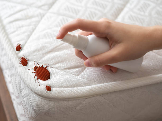 Best Commercial Pest Control Services  in Preston, MN